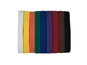 BELTS-SOLID COLOUR