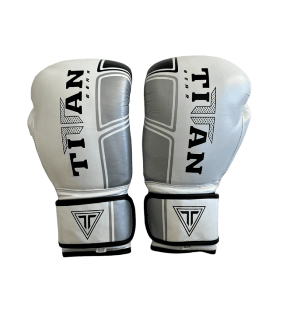 TITAN T-11 LEATHER BOXING TRAINING GLOVES